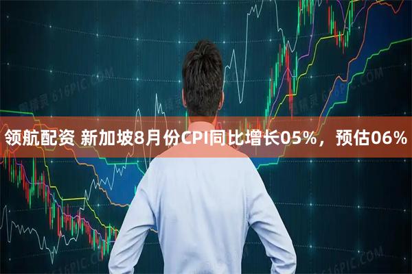 领航配资 新加坡8月份CPI同比增长05%，预估06%