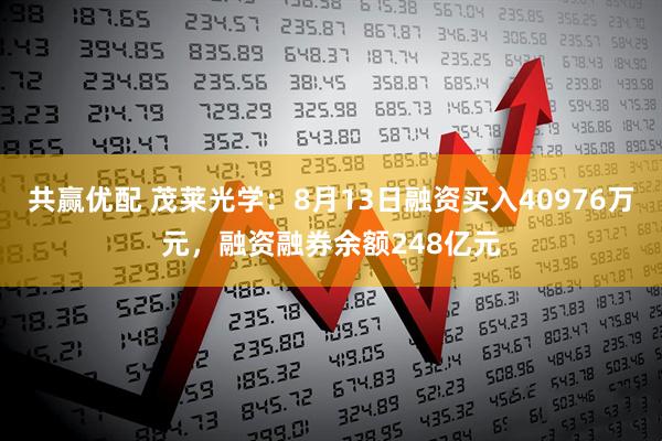 共赢优配 茂莱光学：8月13日融资买入40976万元，融资融券余额248亿元