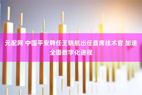 元配网 中国平安聘任王晓航出任首席技术官 加速全面数字化进程